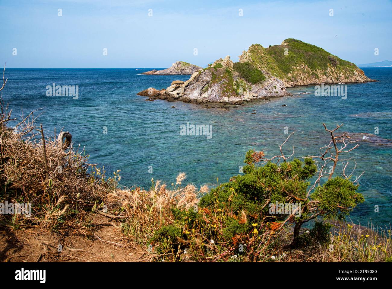 le bord de mer dans la partie ouest de la presquile de Giens appartenant au parc national de Port-cros avec ses criques ses ilots ses plages sa Nature Stockfoto