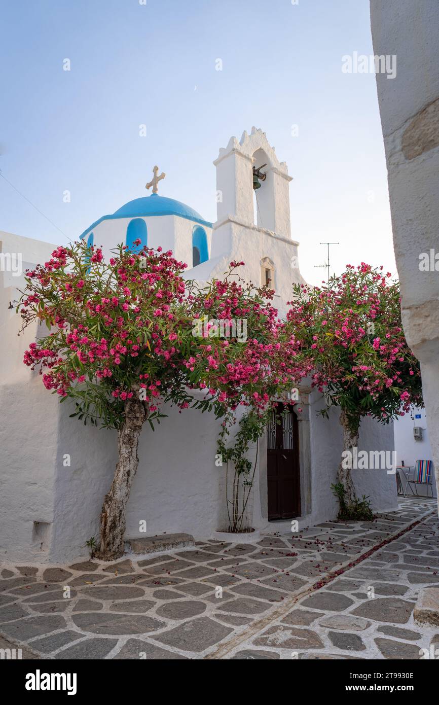 Kleine Kirche in Parikia, Paros, mit blauer Kuppel und Bougainvillea Stockfoto