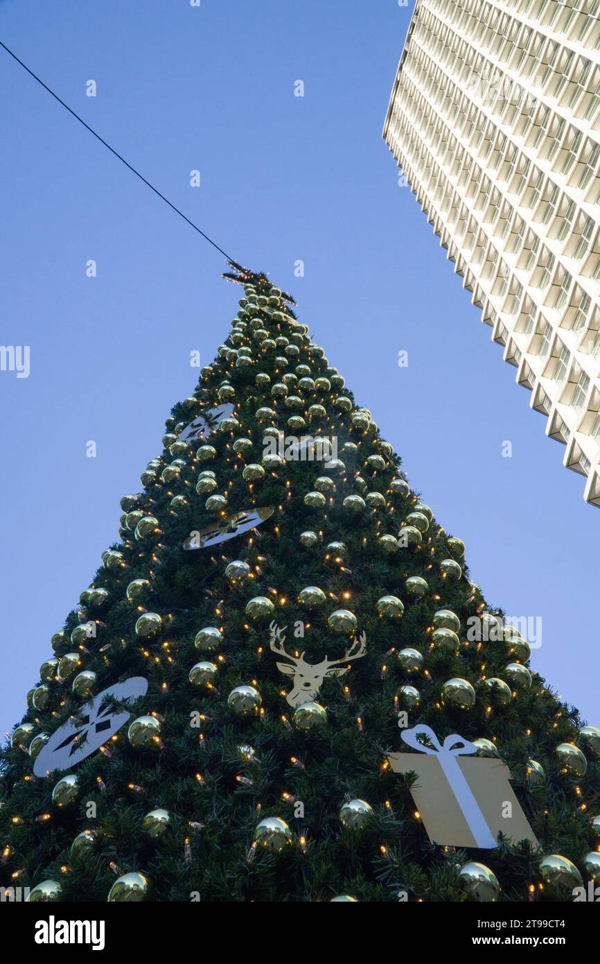 London, 23. November 2023: Ein geschmückter Weihnachtsbaum vor dem Centrepoint-Gebäude an der Kreuzung von Oxford Street, Charing Cross Road und Tottenham Court Road. Der Name Centrepoint wird auch mit einer Wohltätigkeitsorganisation für Obdachlose in Verbindung gebracht. Anna Watson/Alamy Live News Stockfoto