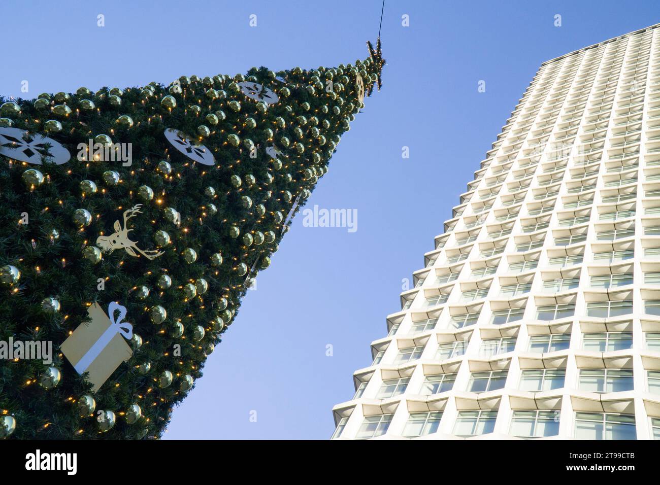 London, 23. November 2023: Ein geschmückter Weihnachtsbaum vor dem Centrepoint-Gebäude an der Kreuzung von Oxford Street, Charing Cross Road und Tottenham Court Road. Der Name Centrepoint wird auch mit einer Wohltätigkeitsorganisation für Obdachlose in Verbindung gebracht. Anna Watson/Alamy Live News Stockfoto