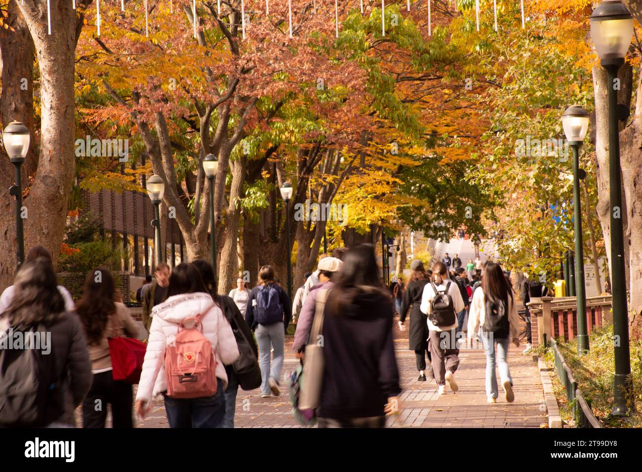 Heuschrecke-Spaziergang mit Studierenden im Herbst, University of Pennsylvania Universität Stadtgebiet, Philadelphia, PA, USA Stockfoto