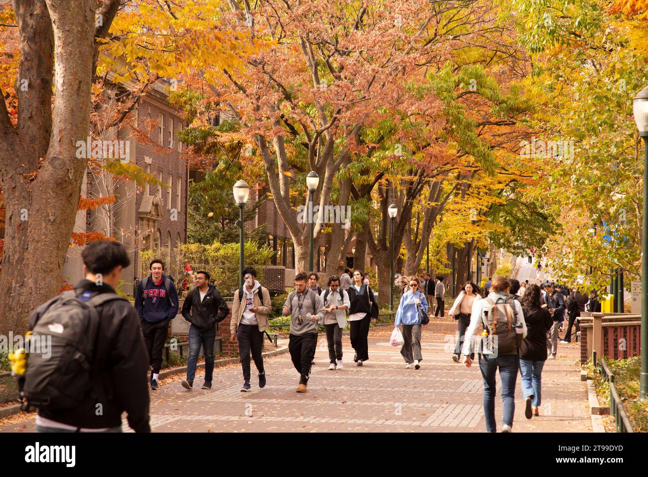 Heuschrecke-Spaziergang mit Studierenden im Herbst, University of Pennsylvania Universität Stadtgebiet, Philadelphia, PA, USA Stockfoto