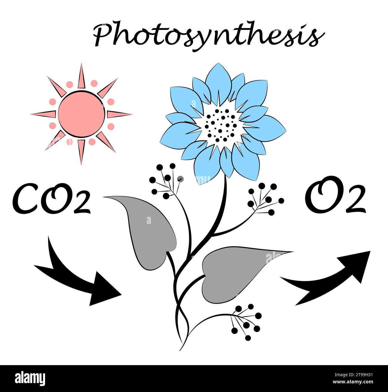 Photosynthese. Umgebung. Wissenschaft. Resorption von Pflanzen Stock Vektor