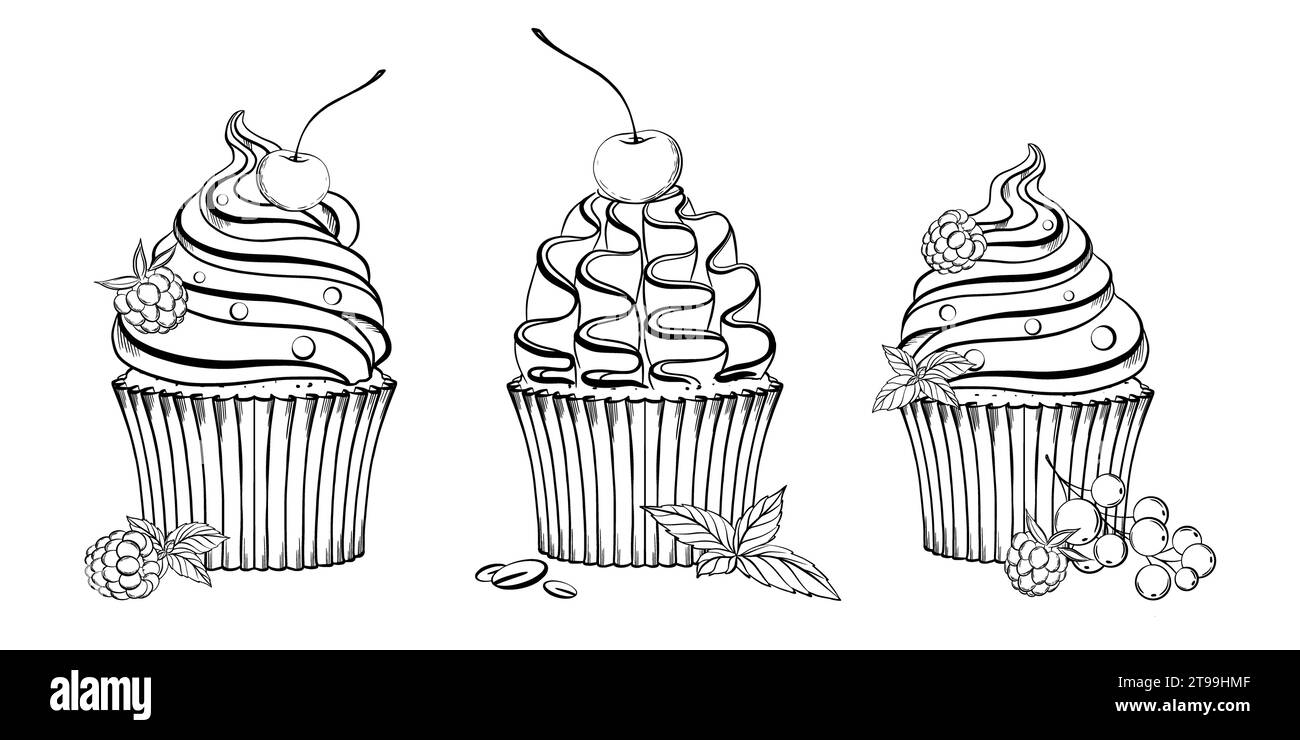 Set Cupcakes mit Beeren, Creme und Minzblättern. Vektorabbildung. Grapgischer STYLE. Handgezeichnet in einem einfachen minimalistischen Stil. Kann für verwendet werden Stock Vektor