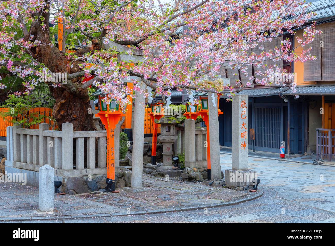 Kyoto, Japan - 6. April 2023: Tatsumi Daimyojin-Schrein in der Nähe der Tatsumu-Bashi-Brücke im Stadtteil Gion Stockfoto