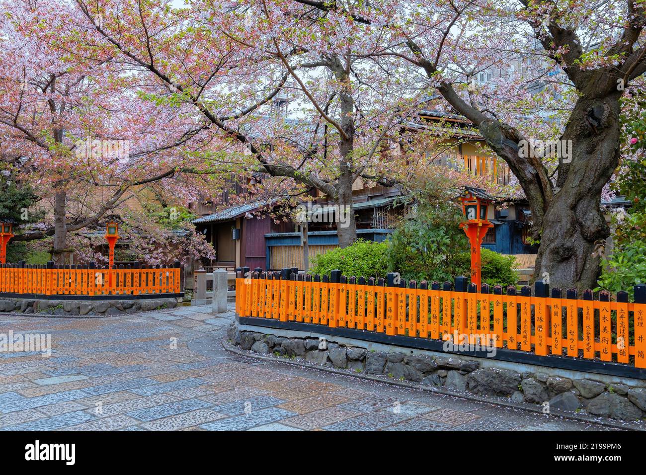 Kyoto, Japan - 6. April 2023: Die Tatsumi-Bashi-Brücke ist der berühmte Ort des Stadtteils Gion. Es ist eine kleine Brücke, die den Fluss Shirakawa überquert Stockfoto