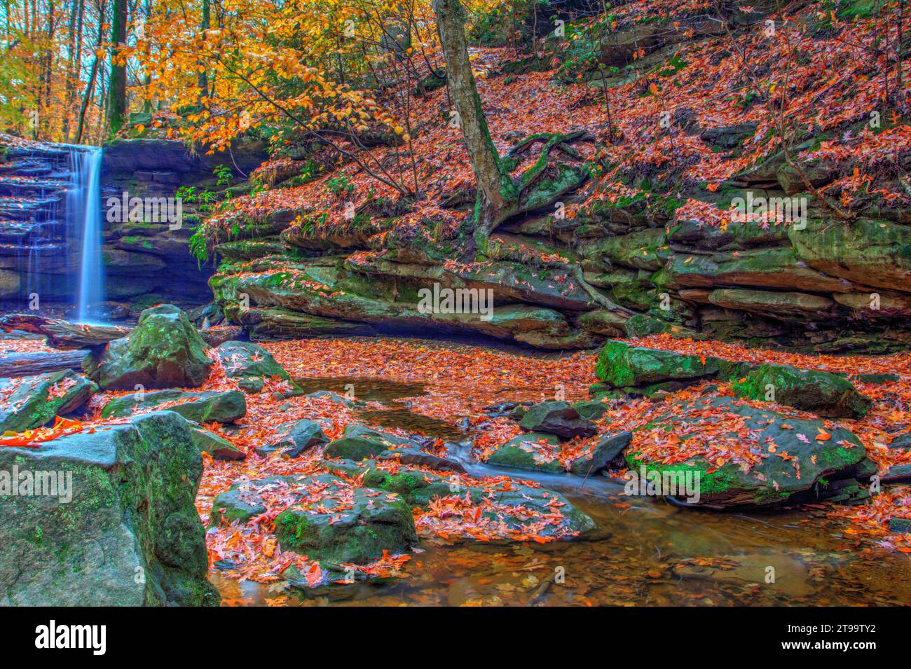 Blick auf die Dundee Falls im Herbst, Beach City Wilderness Area, Ohio Stockfoto