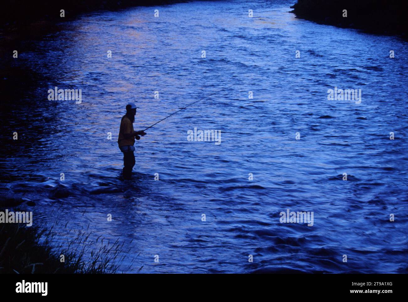 Flyfishing am Wallowa River, Wallowa Lake Forest Highway State Park, Hells Canyon Scenic Byway, Oregon Stockfoto