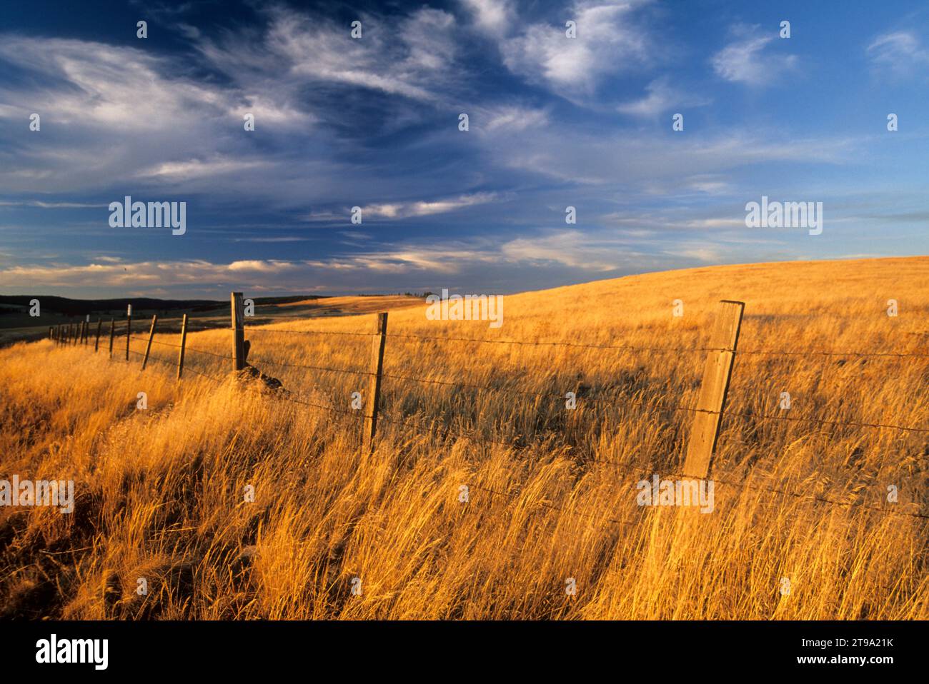 Ranchland, Wallowa County, Oregon Stockfoto