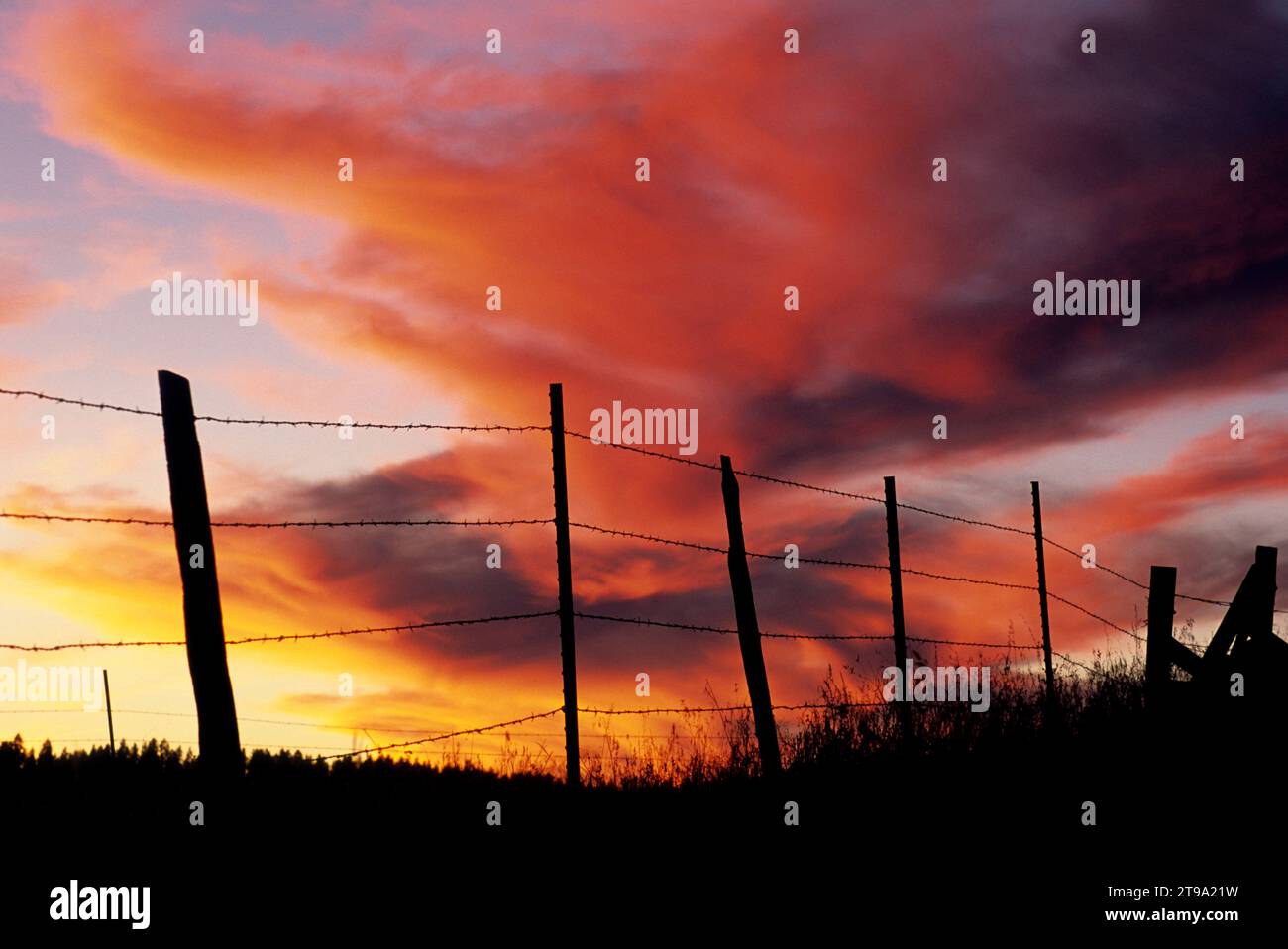 Ranchlandzaun Sonnenuntergang, Wallowa County, Oregon Stockfoto