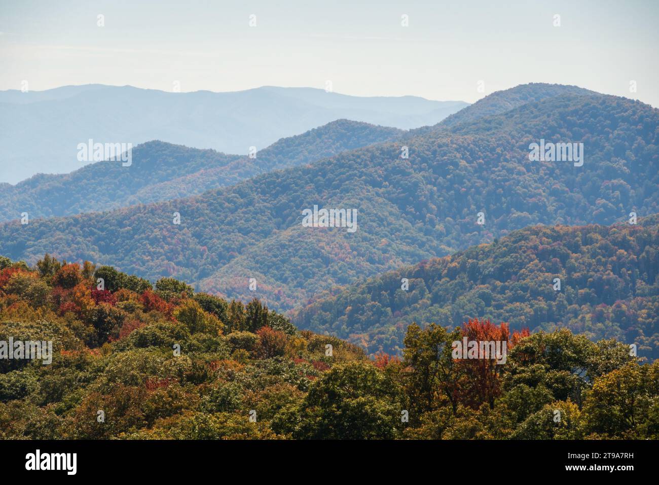 Blick auf die Great Smoky Mountains, North Carolina Stockfoto