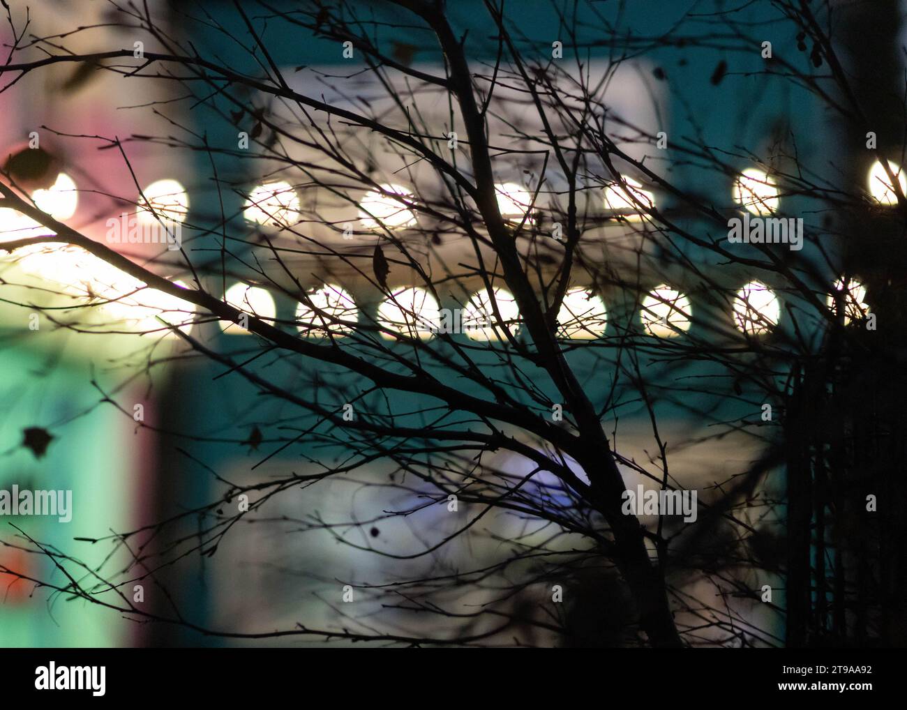 Bokeh-Lichter mit Zweigen im Vordergrund Stockfoto