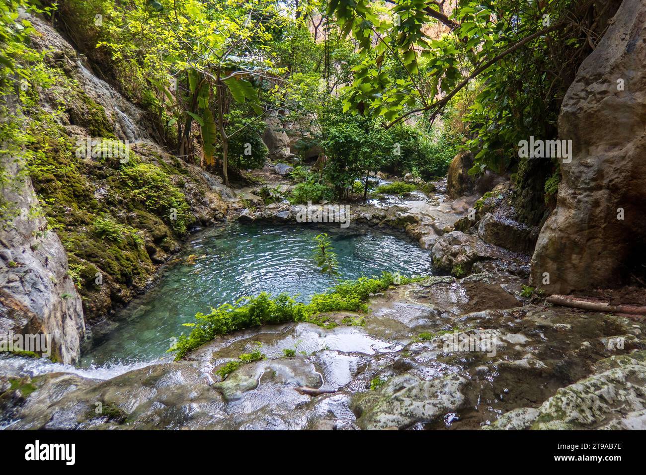 Erkunden Sie die vielfältige Schönheit von Tolantongo, Hidalgo. Entdecken Sie die faszinierende Ökoregion mit Wasser und Natur, von Auengebieten bis zu dichten Regenwäldern Stockfoto