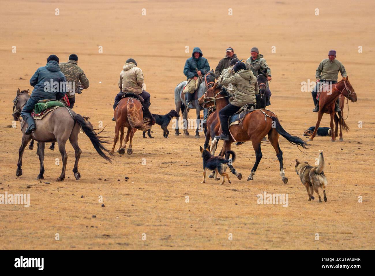 Buzkashi (Ziegenziehen) ist der Nationalsport Afghanistans. Es ist ein traditioneller Sport, bei dem Pferdespieler versuchen, eine Ziege oder ein Kalb zu platzieren Stockfoto