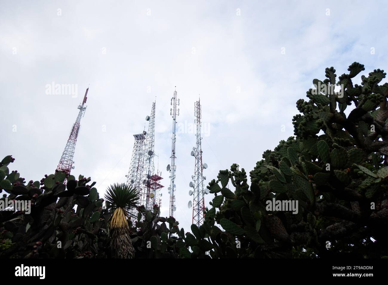 Erleben Sie die harmonische Mischung aus moderner Technologie und der ruhigen Schönheit der Natur. Erleben Sie die komplizierten Strukturen, einschließlich Türme und Sendeanlagen Stockfoto