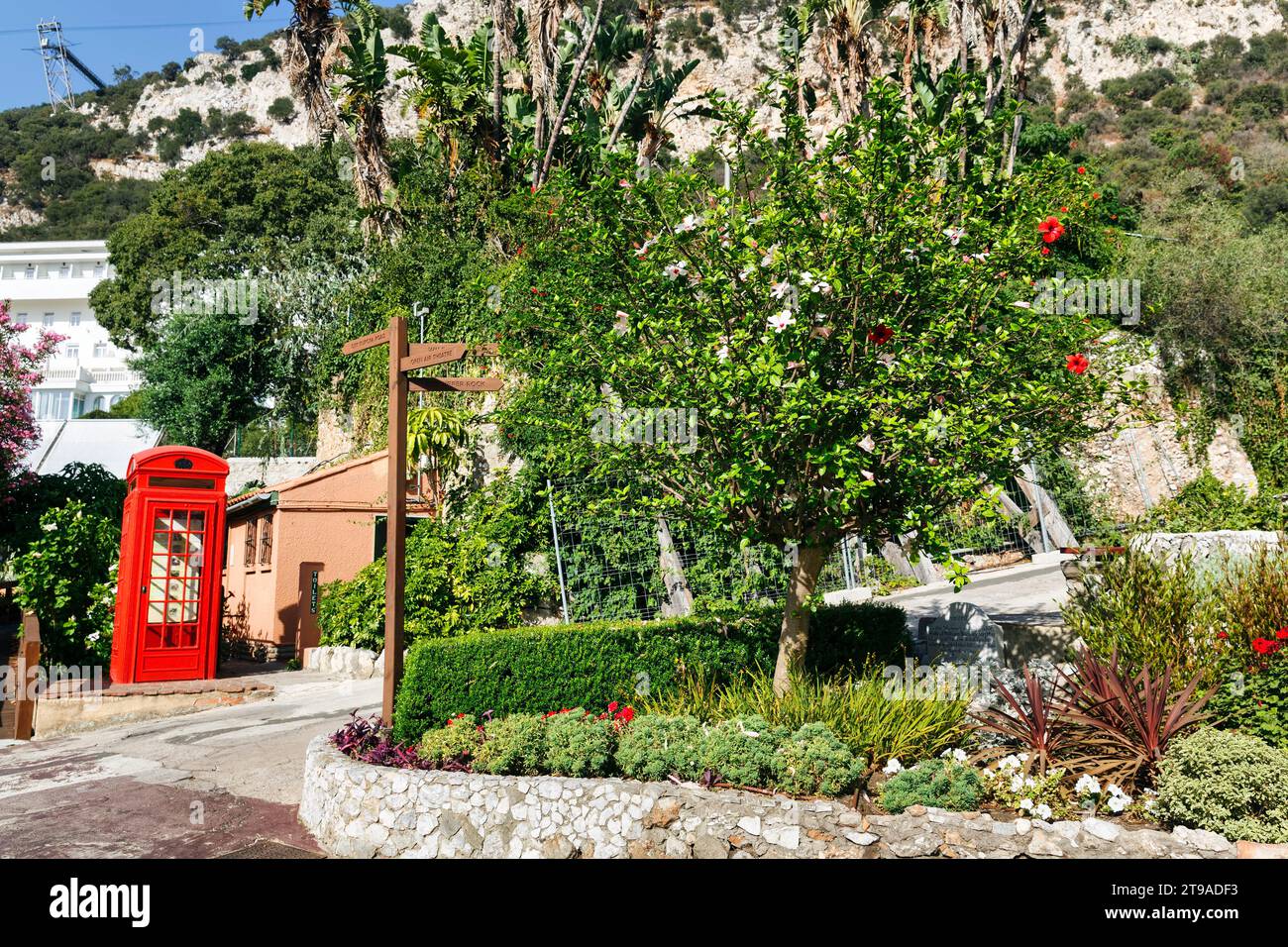 La Alameda Botanischer Garten, Oberstadt, Gibraltar Stockfoto