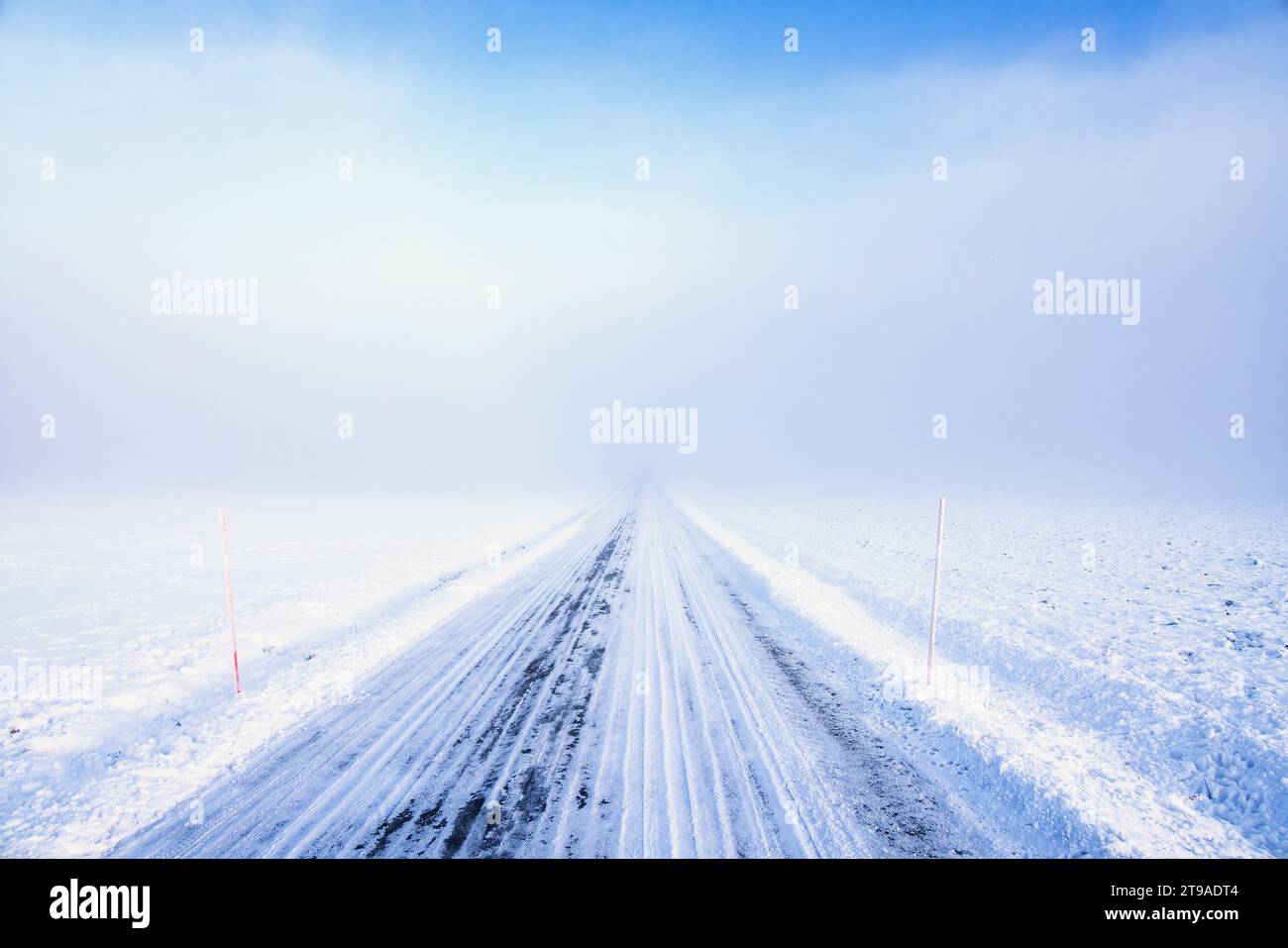 Schneebedeckte Landstraße, die an einem kalten Wintertag direkt in den Nebel führt Stockfoto