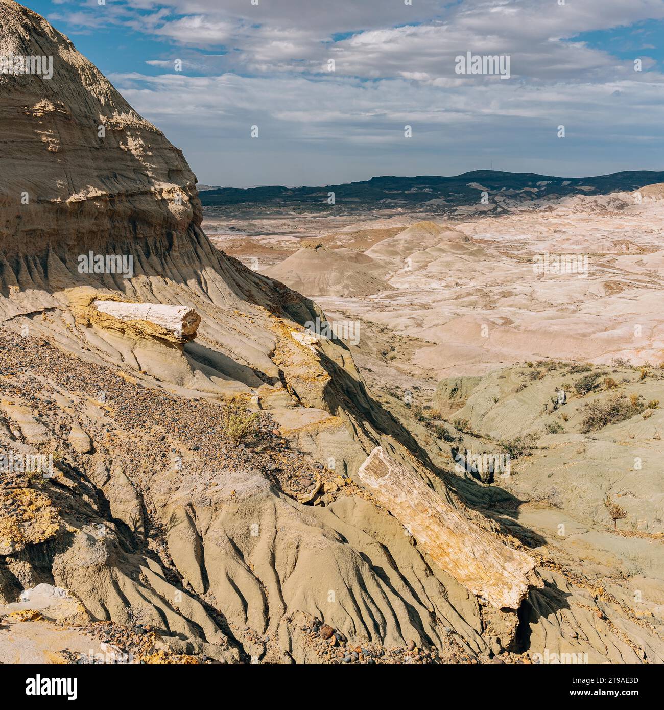 Versteinerter Wald Sarmiento, Provinz Chubut, Argentinien Stockfoto