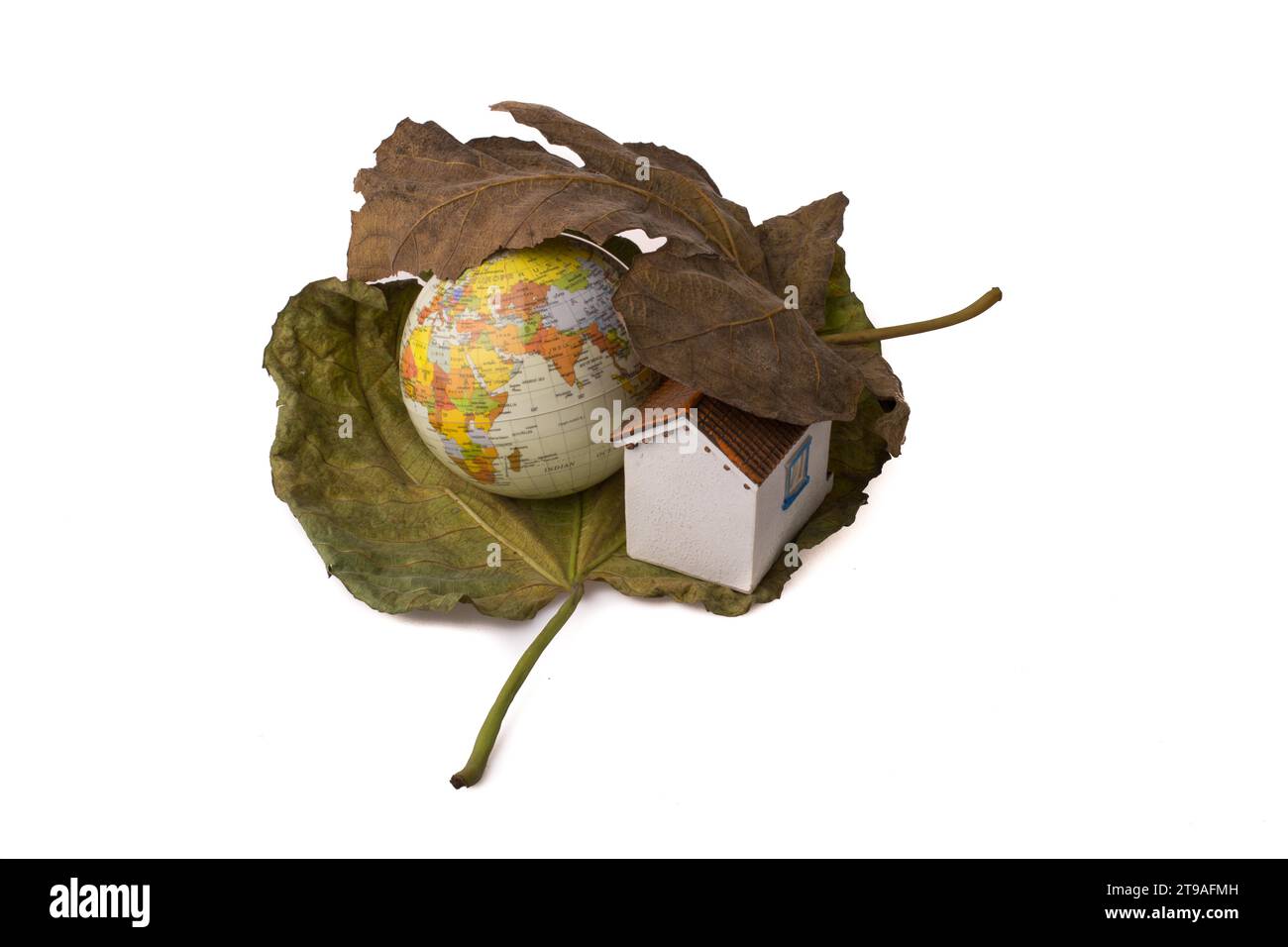 Modellkugel und ein kleines Modellhaus zwischen zwei Herbstblättern Stockfoto