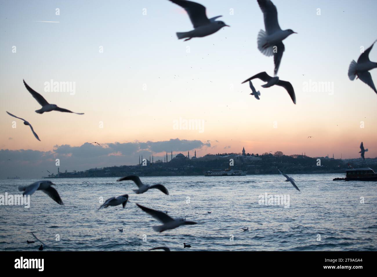 Blick vom Maiden-Turm am Abend, mit der Hagia Sophia und der Blauen Moschee in der Ferne Stockfoto