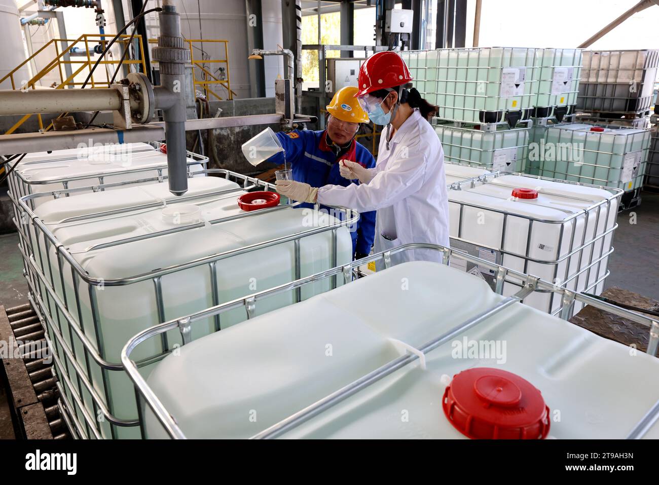 ZAOZHUANG, CHINA - 24. NOVEMBER 2023 - Arbeiter nehmen Proben von chemischen Produkten in einer Abfüllwerkstatt eines privaten Unternehmens in der Stadt Zaozhuang, Shan Stockfoto