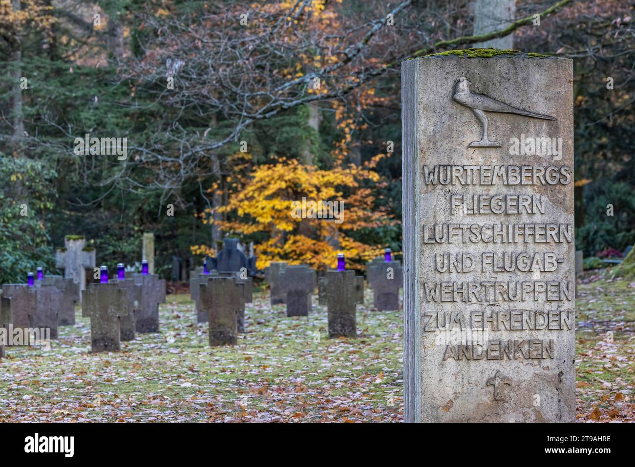 Friedhof für gefallene Soldaten der Weltkriege, symbolisches Foto für den Gedenktag. Waldfriedhof Stuttgart, Baden-Württemberg, Deutschland Stockfoto