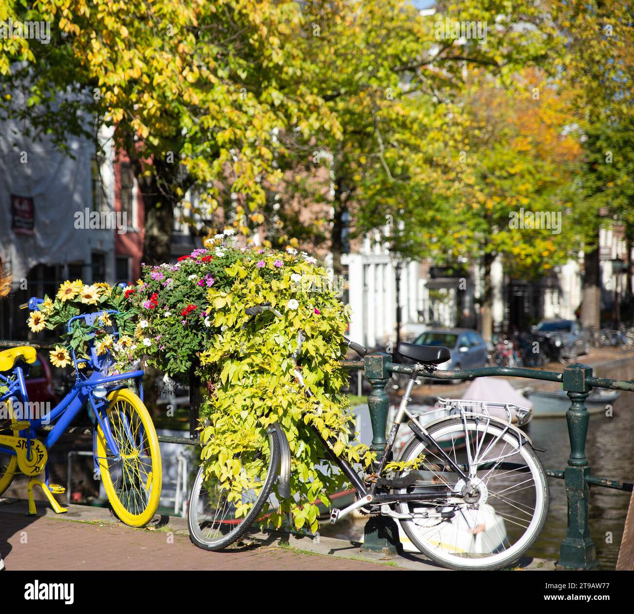 Wunderschönes Fahrrad mit Blumen auf der Kanalbrücke in der Amsterdamer Altstadt Stockfoto