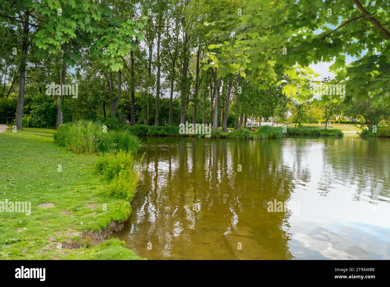 Landschaft rund um die Hortillonages in Amiens, einer Stadt und Gemeinde in Nordfrankreich. Es zeigt eine idyllische Parklandschaft namens schwimmende Gärten von Amiens in Stockfoto