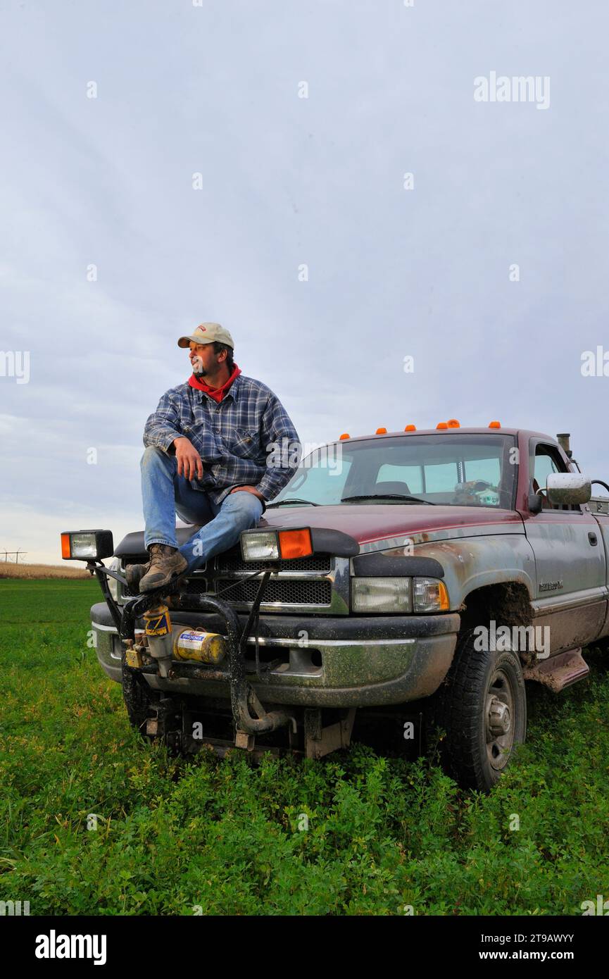 Porträt eines Maisbauers auf der Motorhaube seines Pick-up-Trucks auf einem grünen Feld auf seiner Farm in Bloomsburg, PA. Stockfoto
