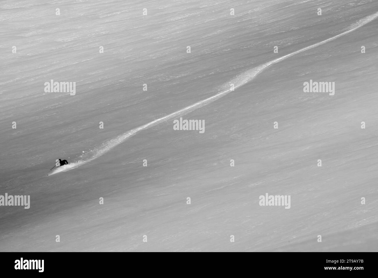 Schwarz-weiß-Bild eines männlichen Skifahrers, der frische Kurven im Hinterland macht. Stockfoto