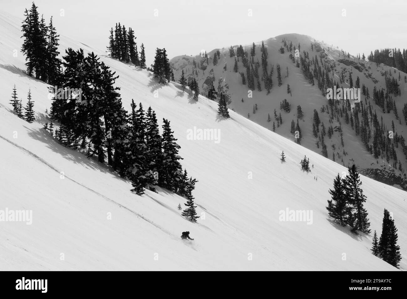 Schwarz-weiß-Bild eines männlichen Skifahrers, der in einer großen Landschaft frische Kurven macht. Stockfoto