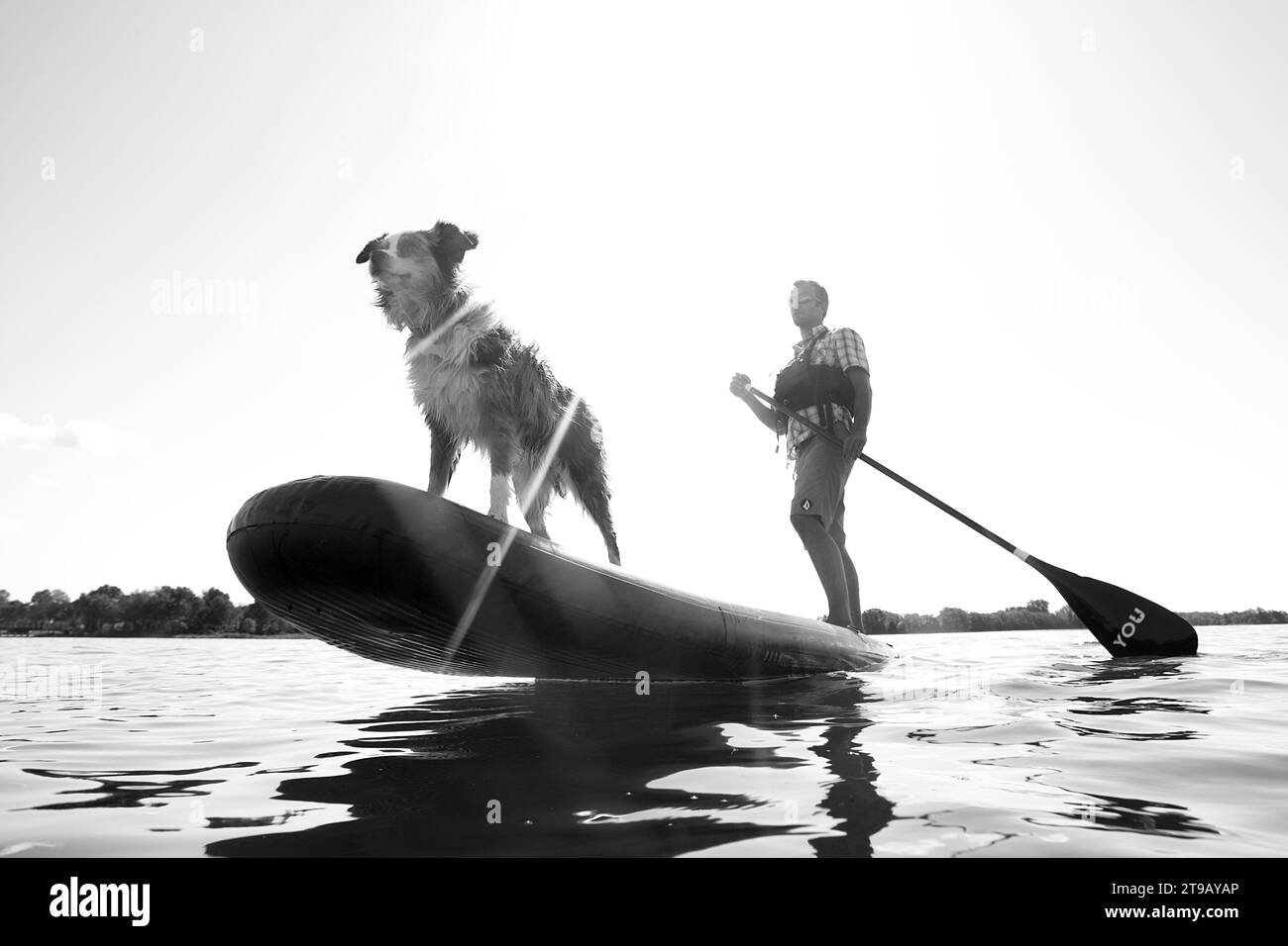 Schwarz-weiße Perspektive eines Mannes Stand Up Paddleboarding (SUP) mit seinem Hund vor einem aufgeblasenen Himmel. Stockfoto