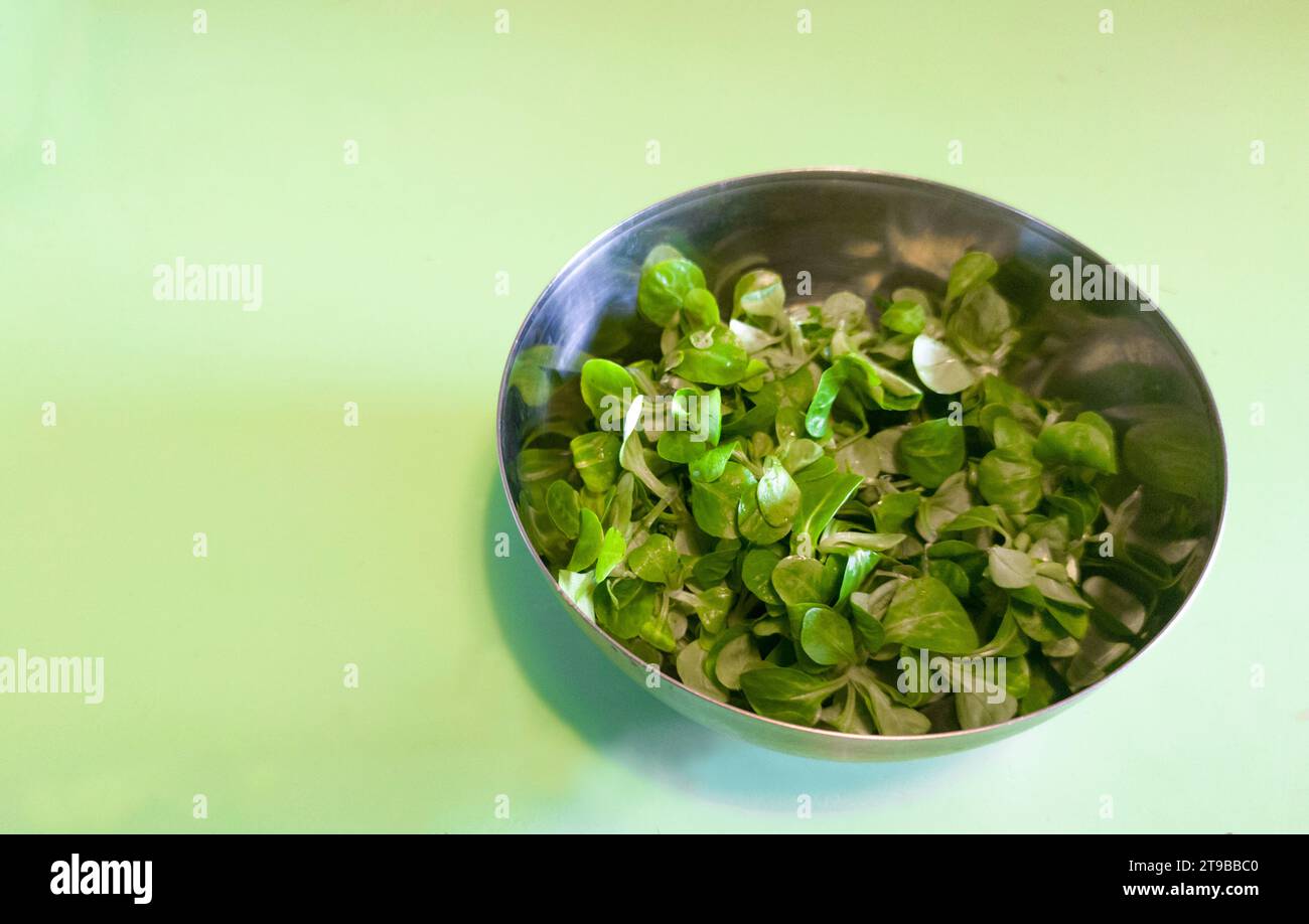 Metallschale voller Maissalat. Türkisfarbener Hintergrund Stockfoto