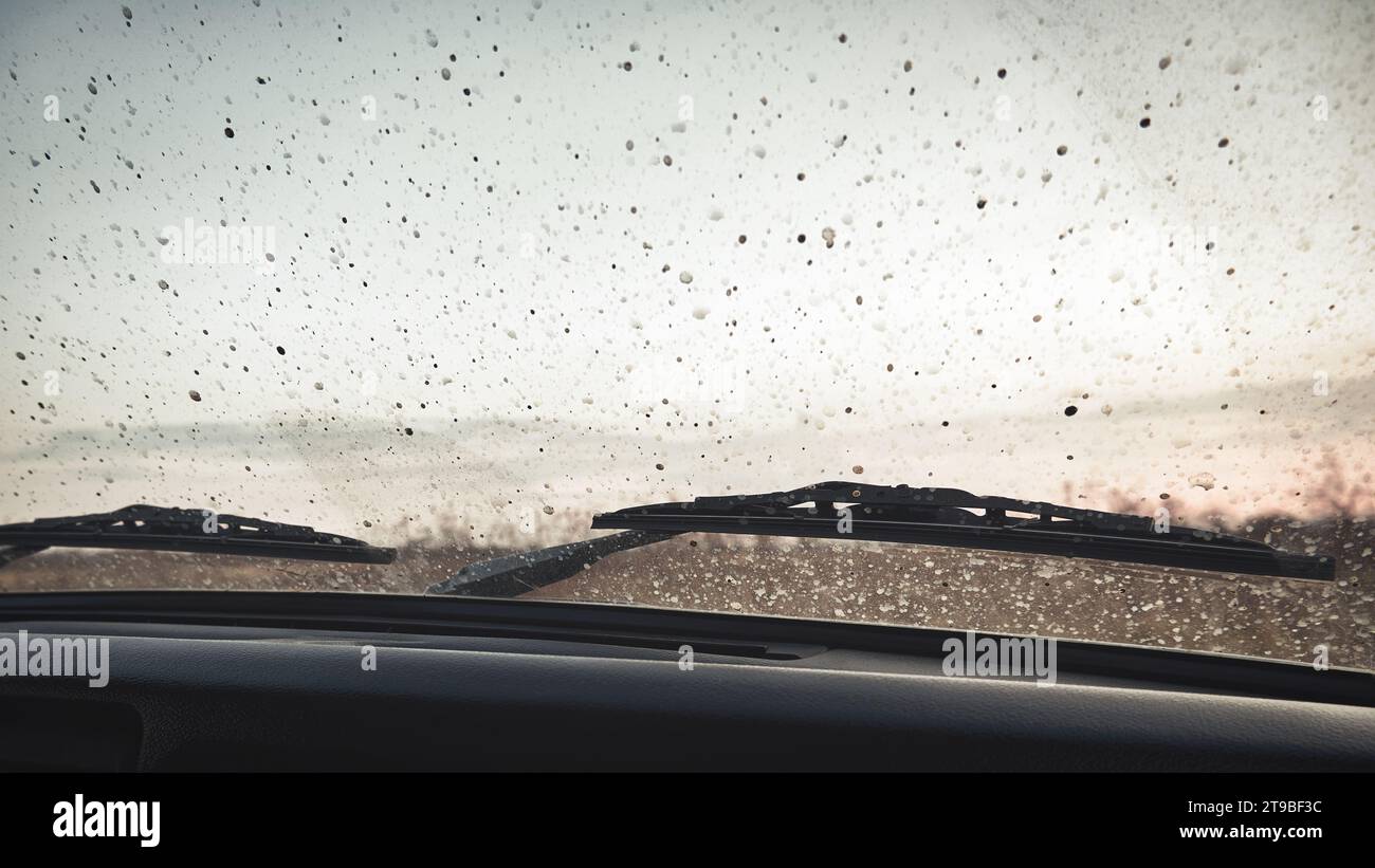 Schmutztropfen auf die Windschutzscheibe eines Autos. Herbstlandschaft durch die Windschutzscheibe eines Autos Stockfoto