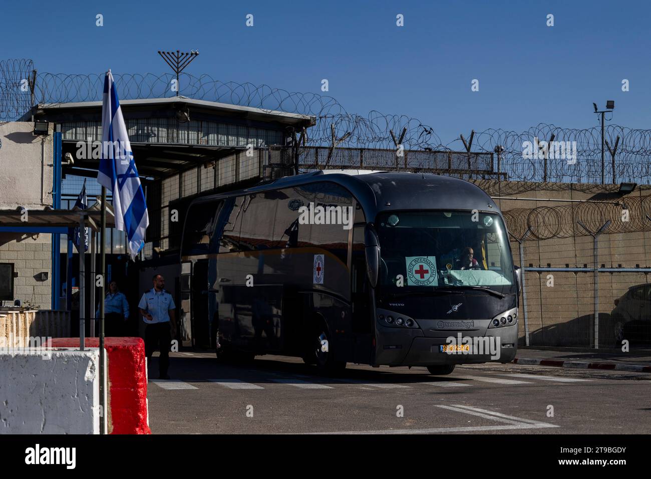 24. November 2023, Israel, Ramallah/Beituniya: Ein Bus des Roten Kreuzes verlässt das israelische Militärgefängnis Ofer, als palästinensische Gefangene aus einem anderen israelischen Gefängnis ankommen. Foto: Ilia Yefimovich/dpa Stockfoto
