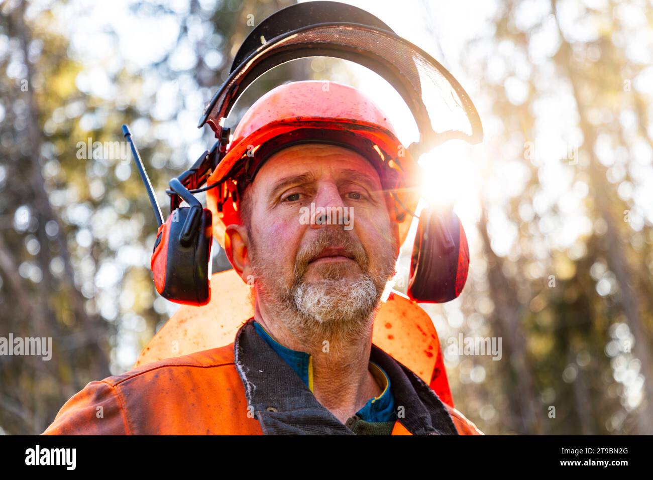 Porträt reifer männlicher Holzfäller bei der Arbeit Stockfoto