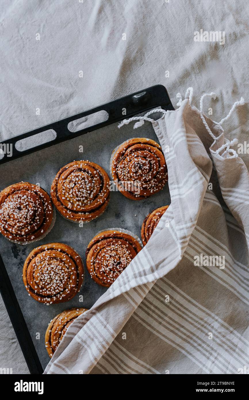 Hochwinkelansicht von gebackenen Zimtbrötchen auf Backblech Stockfoto
