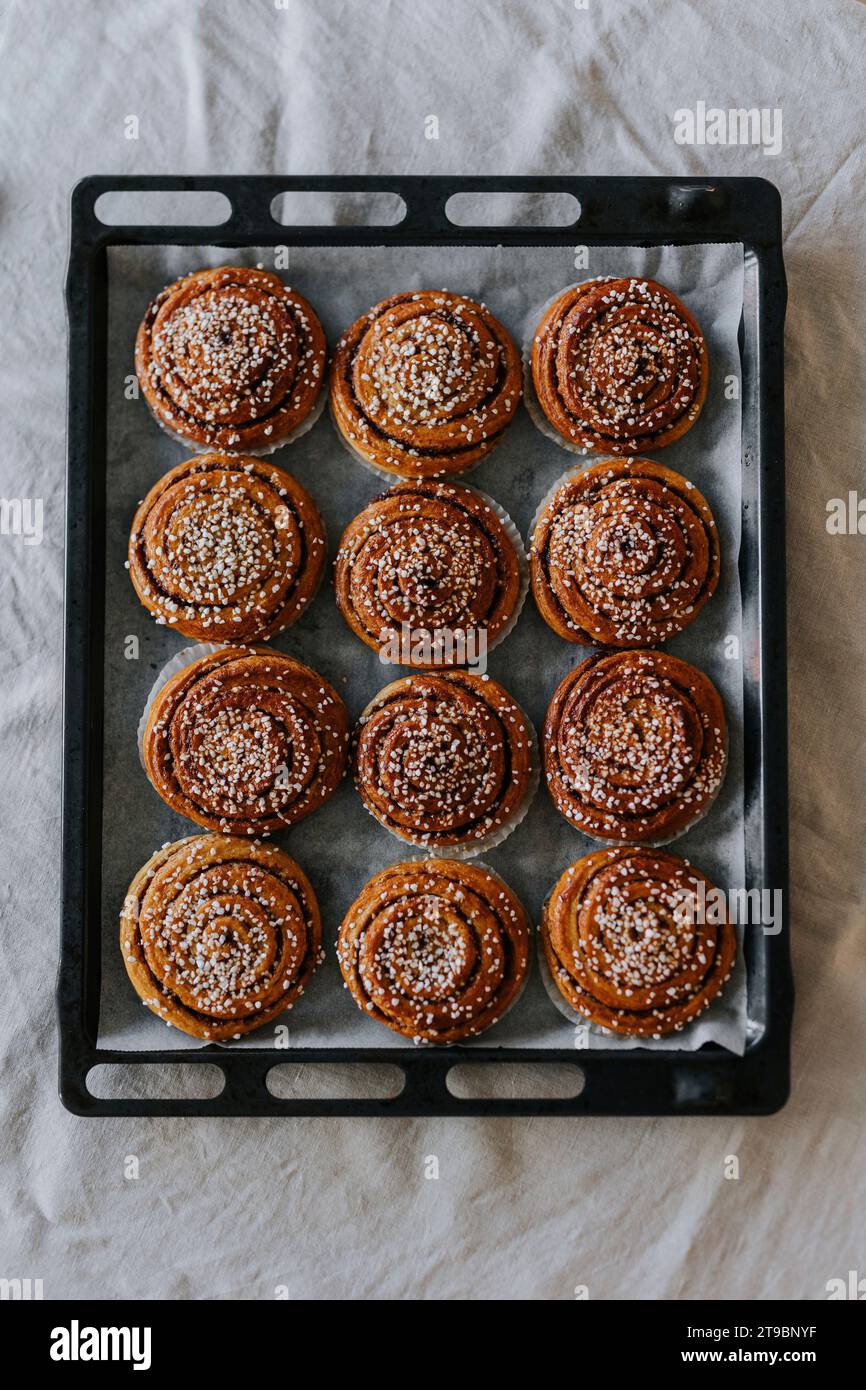 Hochwinkelansicht von gebackenen Zimtbrötchen auf Backblech Stockfoto
