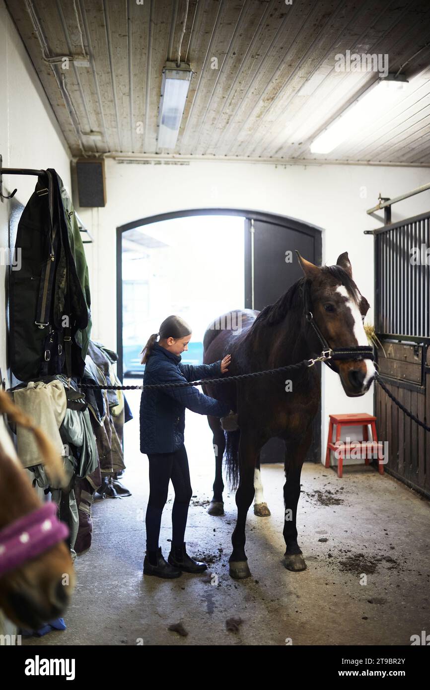 Mädchen, die ein Pferd nach dem Reiten im Stall pflegen Stockfoto