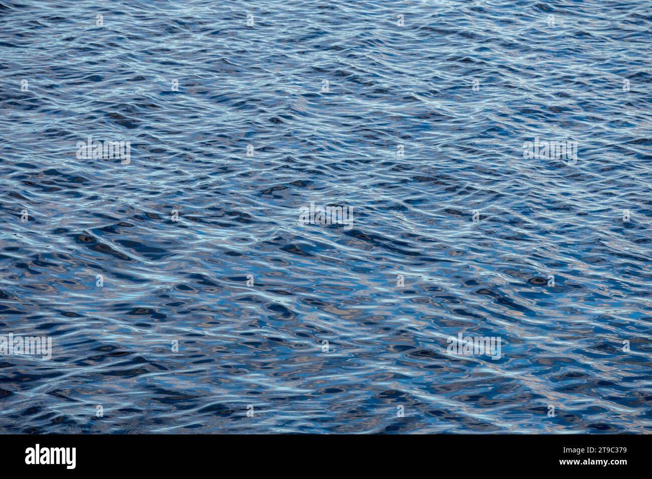 Wellen auf dem See Stockfoto