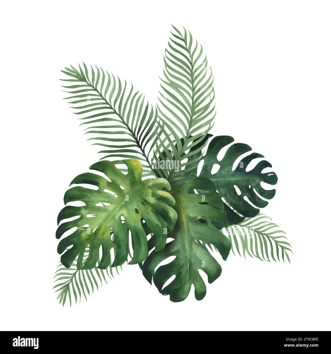 Aquarellillustration eines tropischen Blumenstraußes mit Monstera und Palmblättern. Grüne tropische Pflanze, handgezeichnet, isoliert Stockfoto