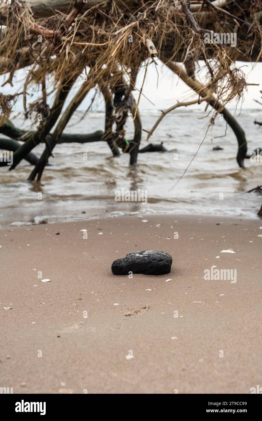 In der Leinwand der Natur trifft das ruhige Meer auf die Wärme des Sandes, geschmückt von einem einsamen schwarzen Felsen, umgeben von einem anmutigen Bogen eines gefallenen Baumes, einem symp Stockfoto