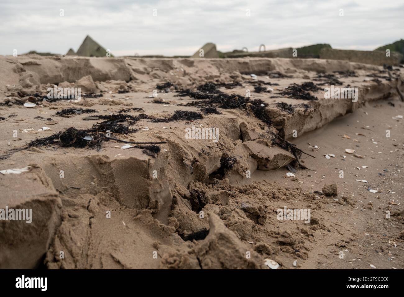 Die Kunstfertigkeit der Natur in Bewegung: Von den Gezeiten geätzte Sandstufen, geschmückt mit Algen, ein vorübergehender Pfad, der durch die sanfte Berührung des Meeres auf dem ruhigen Be geschaffen wurde Stockfoto