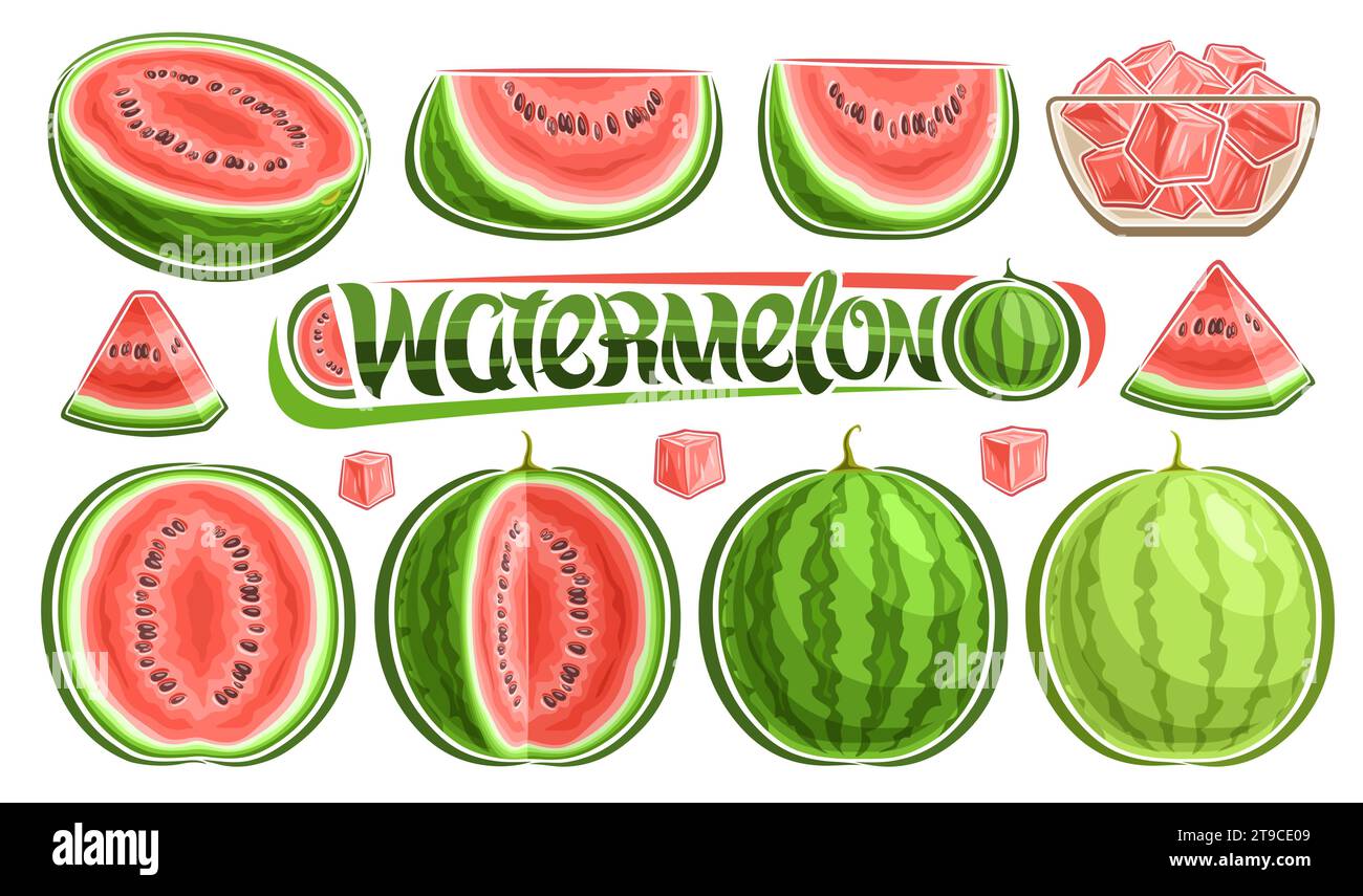 Vector Watermelon Set, Sammlung von ausgeschnittenen Umrissillustrationen von geschnittenen saftigen Wassermelonenteilen mit Körnern und Obstsalat in Glasschale, grün Stock Vektor