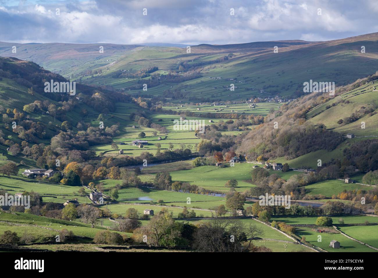 Blick auf Swaledale in Richtung Gunnerside von oben Low Row auf der High Lane. Yorkshire Dales National Park, Großbritannien. Stockfoto