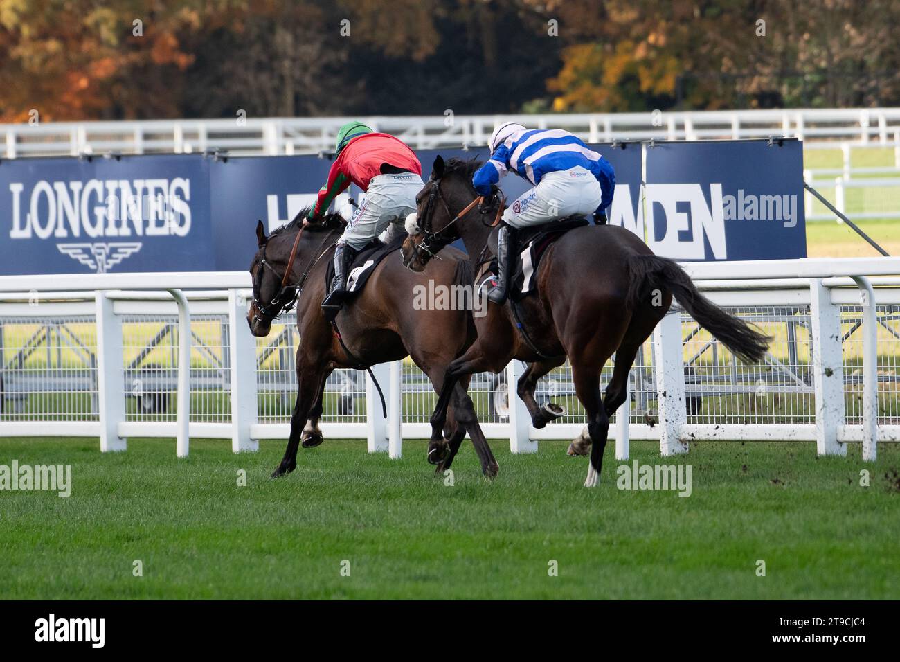 Ascot, Großbritannien. November 2023. Horse Supreme Gift (Nr. 4), geritten von Jockey Charlie Deutsch (rote und grüne Seide), macht den letzten Platz, bevor er beim November Racing to School Novices' Limited Handicap Tureple Chase auf der Ascot Racecourse gewann. Besitzer Sir T Pilkington & R A Pilkington. Trainer Henry Daly, Ludlow. Züchterin Imelda Harney. Sponsor Humphrey Butler Ltd Quelle: Maureen McLean/Alamy Live News Stockfoto