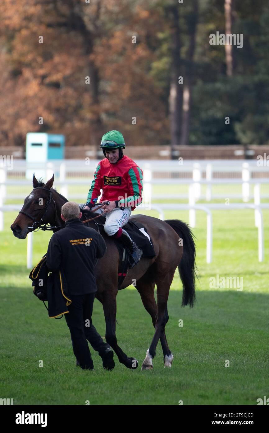 Ascot, Großbritannien. November 2023. Horse Supreme Gift (Nr. 4), geritten von Jockey Charlie Deutsch (rote und grüne Seide), macht den letzten Platz, bevor er beim November Racing to School Novices' Limited Handicap Tureple Chase auf der Ascot Racecourse gewann. Besitzer Sir T Pilkington & R A Pilkington. Trainer Henry Daly, Ludlow. Züchterin Imelda Harney. Sponsor Humphrey Butler Ltd Quelle: Maureen McLean/Alamy Live News Stockfoto