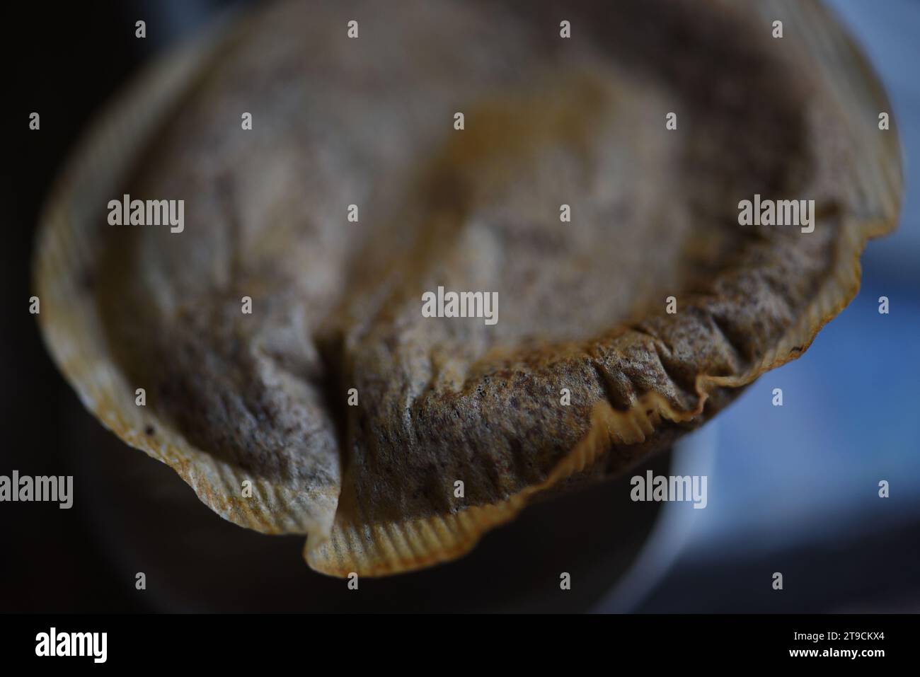 Makrodetail eines gebrauchten Teebeutels Stockfoto