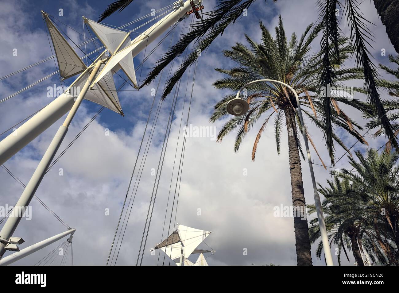 Eisensäulen und Balken neben Palmen an bewölktem Himmel bei Tag Stockfoto