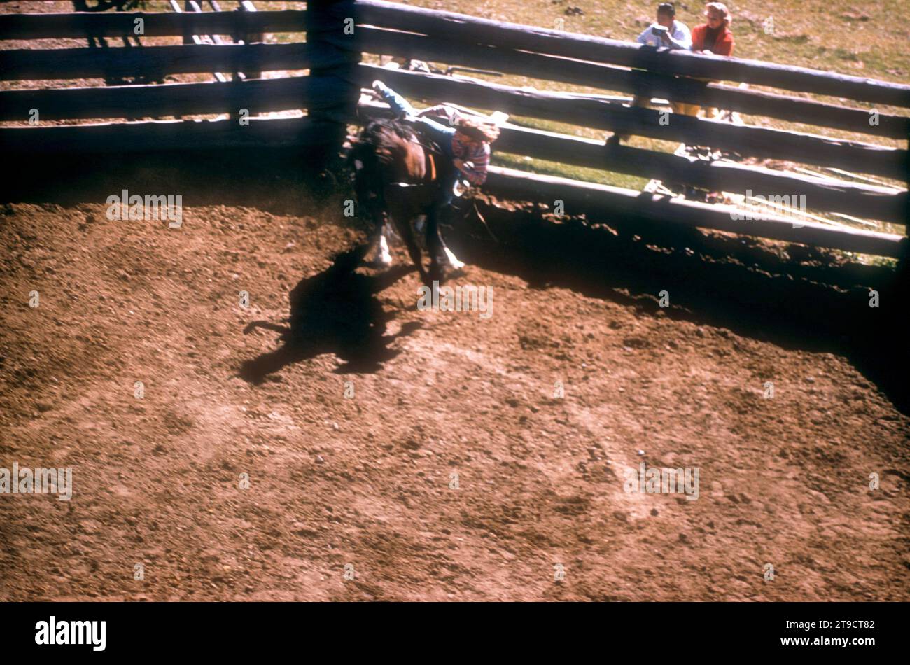 PORTLAND, OR – SEPTEMBER 1958: Eine nicht identifizierte Frau wird auf einer Ranch um den September 1958 in Portland, Oregon, von ihrem Pferd geworfen. (Foto: Hy Peskin) Stockfoto